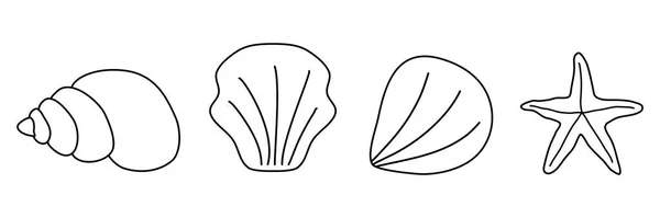 Different Sea Shells Sea Star Row Doodle Style Flat Vector — Stock Vector