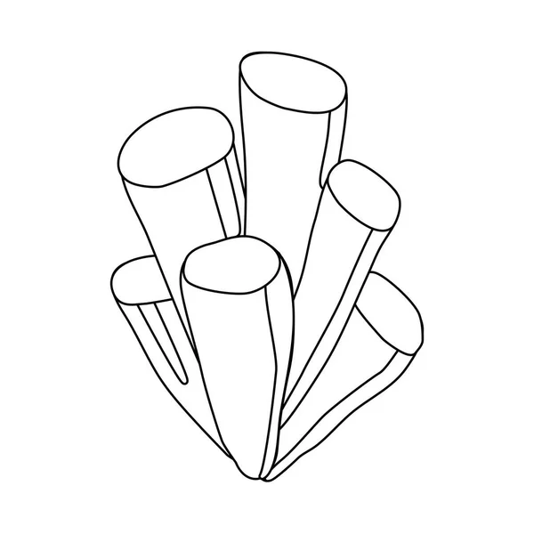 Φύκια Ενυδρείο Νερό Φυτό Doodle Στυλ Επίπεδη Διανυσματική Απεικόνιση Περίγραμμα — Διανυσματικό Αρχείο