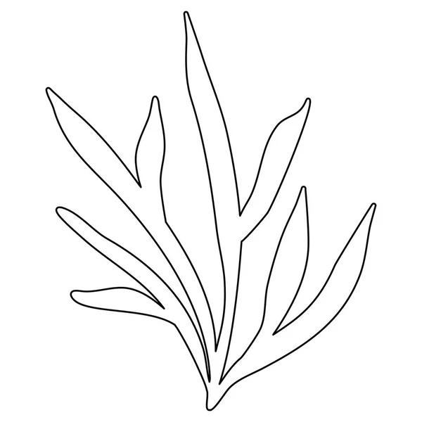 Φύκια Ενυδρείο Νερό Φυτό Υποβρύχια Φύτευση Doodle Στυλ Επίπεδη Διανυσματική — Διανυσματικό Αρχείο