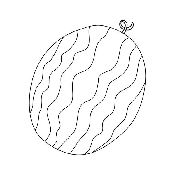 Frisch Reife Ganze Wassermelone Doodle Stil Flache Vektorumrisse Illustration Für — Stockvektor