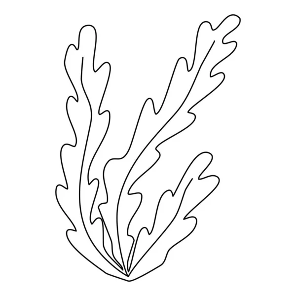 海水和水族馆水生植物 海藻水下种植 涂鸦式扁平载体图解 供儿童着色书籍参考 — 图库矢量图片