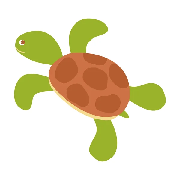 Cute Cartoon Turtle Sea Animal Flat Vector Illustration — Stock Vector