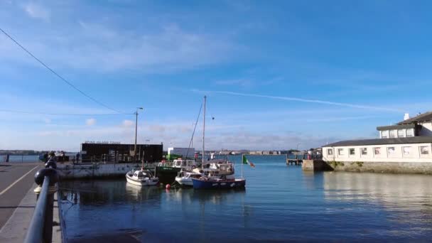 コルク港にボート スパイク島のツアー近くの桟橋 アイルランド 2022年9月3日 — ストック動画