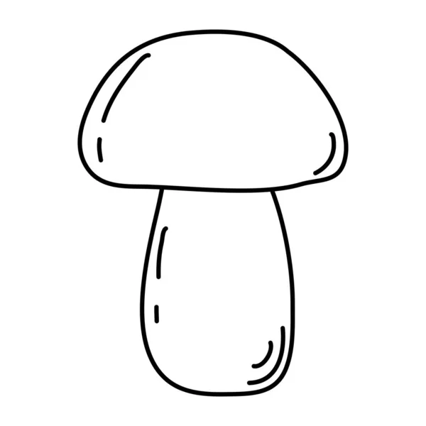 Boletus Mushroom Cep Edible Mushroom Doodle Style Flat Vector Outline — Stock Vector