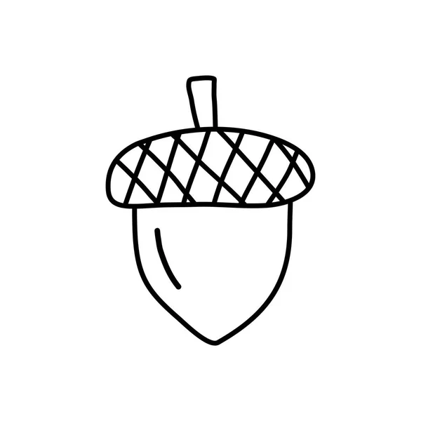 Желудь Дуб Плоская Векторная Иллюстрация Стиле Дудла Детской Книги Раскраски — стоковый вектор