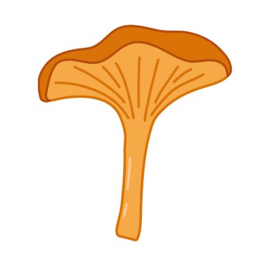 Beyaz arkaplanda Chanterelle mantarı, ana hatlı simge, çizgi film stili vektör illüstrasyonu