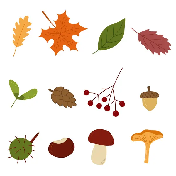 Set Autumn Elements Leaves Berry Mushrooms Doodle Style Vector Illustration — Stock Vector