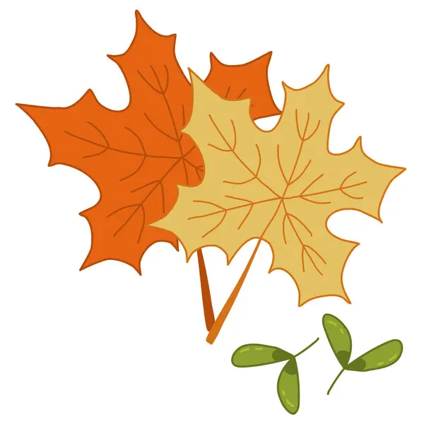 Красочные Кленовые Листья Семена Вертолеты Элемент Осеннего Дизайна Векторная Иллюстрация — стоковый вектор