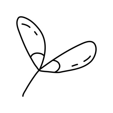 Akçaağaç tohumu veya helikopter, sonbahar tasarım unsuru, karalama stili düz vektör çizimi çocuk kitaplarını boyama çizimi