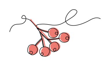 Kırmızı böğürtlenli Rowan dalı, renkli çizgi sanatı, sürekli çizgi vektör illüstrasyonu