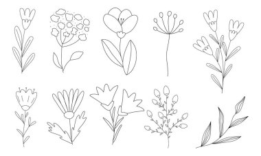 Çocuk boyama kitabı için farklı çiçek ve dallar, karalama stili düz vektör taslağı