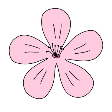 Kiraz çiçeği veya sakura pembe çiçek, üst görünüm, bahar tasarım elementi, vektör illüstrasyonu