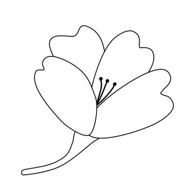 Kiraz çiçeği ya da sakura çiçeği, kenar görünüm, karalama stili düz vektör çizimi çocuk kitaplarını boyama çizimi