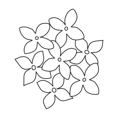 Leylak ya da ortanca çiçekleri üst görünüm, karalama tarzı düz vektör çizimi çocuk kitaplarını boyama çizimi