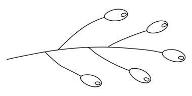 Küçük keten zambağı ya da dianella çiçekleri ya da daldaki böğürtlen, karalama tarzı düz vektör çizimi çocuk kitapları boyama çizimi