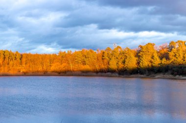 A beautiful little lake called Oberwaldsee during blue hour in Germany at a sunny day in Autumn with a colorful forest reflecting in the water. clipart