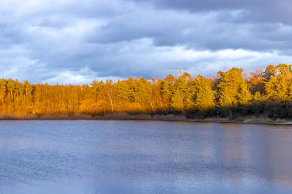 A beautiful little lake called Oberwaldsee during blue hour in Germany at a sunny day in Autumn with a colorful forest reflecting in the water.