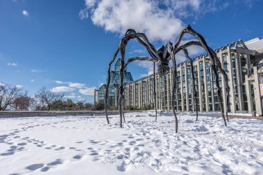 Ottawa, Canada - February 08th 2023: A german photographer discovering Majors Hill Park in downtown Ottawa with view to the national gallery of Canada.
