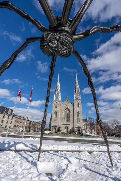 Ottawa, Kanada - 28 Şubat 2023: Ottawa şehir merkezindeki Majors Hill Parkı 'nı keşfeden bir Alman fotoğrafçı