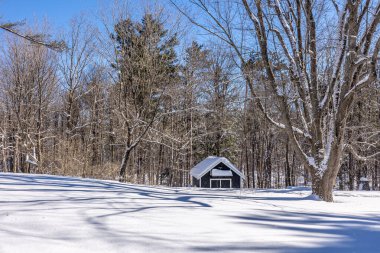 Winter wonder land not far away from Ottawa with a hut, Ontario in Canada at a cold but sunny day in winter.