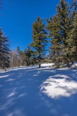 Winter wonder land not far away from Ottawa, Ontario in Canada at a cold but sunny day in winter.
