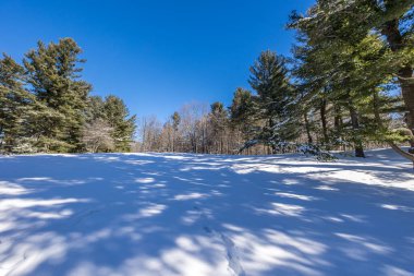 Winter wonder land not far away from Ottawa, Ontario in Canada at a cold but sunny day in winter.