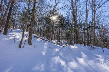 Winter wonder land not far away from Ottawa, Ontario in Canada at a cold but sunny day in winter.