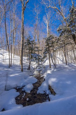 A creek in a winter wonder land not far away from Ottawa, Ontario in Canada at a cold but sunny day in winter.