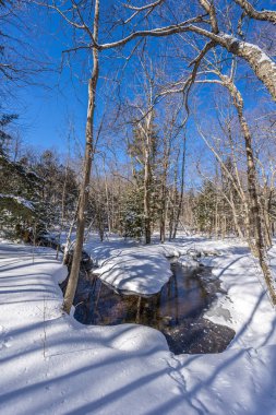 A creek in a winter wonder land not far away from Ottawa, Ontario in Canada at a cold but sunny day in winter.
