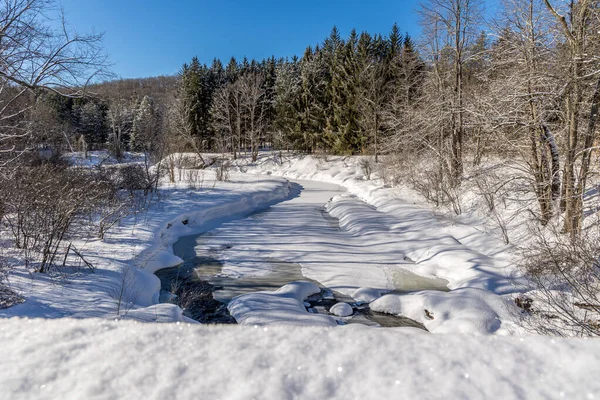 Creek Winter Wonder Land Far Away Ottawa Ontario Canada Cold lizenzfreie Stockfotos
