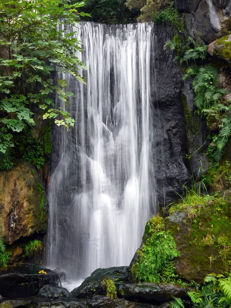 Yavaş Çekim Doğal Şelale Tropikal Yağmur Ormanı Manzarası Uzun Pozlama — Stok fotoğraf