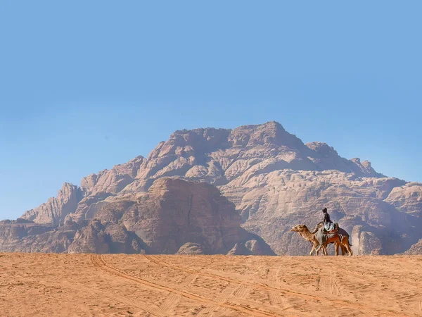 Караван Бедуїн Їде Верблюдом Пустелі Ваді Рум Червоний Помаранчевий Піщано — стокове фото