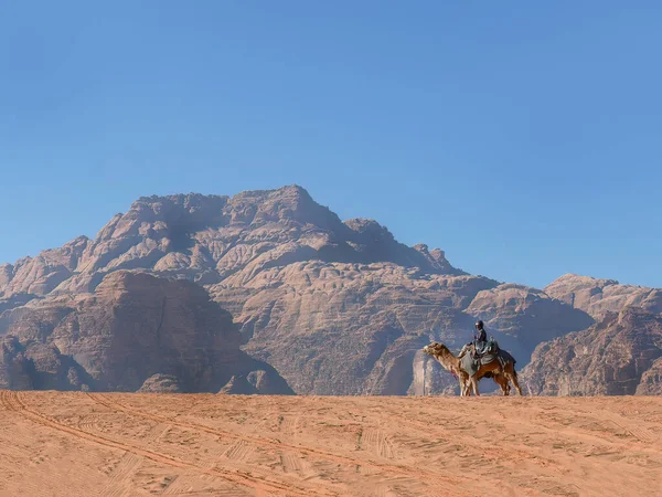 Una Caravana Beduina Montando Camello Desierto Wadi Ron Paisaje Dunas —  Fotos de Stock