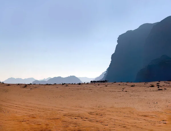 Uma Caravana Beduína Montando Camelo Deserto Wadi Rum Paisagem Dunas — Fotografia de Stock