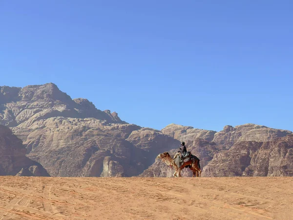 Bedouin Caravan Riding Camel Desert Wadi Rum Red Orange Sand — Stock Photo, Image