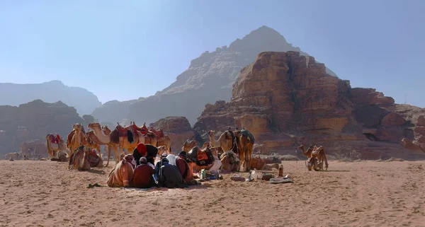 Бедуинский Караван Верблюдами Сидящими Красном Песке Пустыни Вади Рам Иордании — стоковое фото