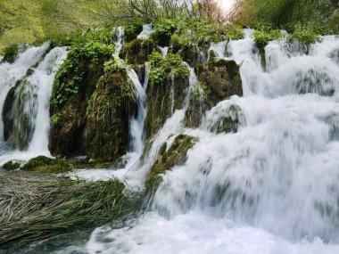 Güzel şelalelerin düşük kaplama hızı, Plitvice gölleri ulusal park UNESCO, dramatik olağandışı manzara, yeşil alp ormanı, biyolojik çeşitlilik, yürüyüş yolları, doğa geçmişi.