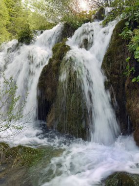 Güzel şelalelerin düşük kaplama hızı, Plitvice gölleri ulusal park UNESCO, dramatik olağandışı manzara, yeşil alp ormanı, biyolojik çeşitlilik, yürüyüş yolları, doğa geçmişi.