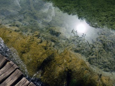Plitvice göllerinin temiz suları ulusal parkı UNESCO, dramatik olağandışı manzara, yeşil yeşillik alp ormanı, biyolojik çeşitlilik, yürüyüş yolları, doğa geçmişi