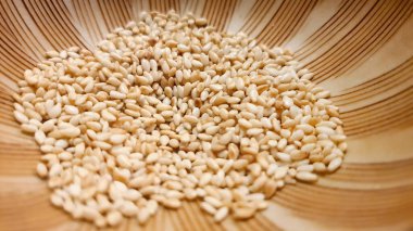 Close up shot of Roasted white sesame seeds in Japanese mortar grinding bowl ready to serve, Japanese menu, aromatic nuts and seeds, coating ingredient flavor clipart