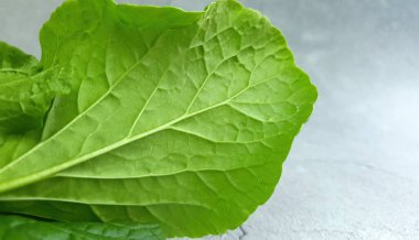 Ev yapımı sebzeler, Kanton Kalesi veya Çin Kalesi veya Choy Sum, Choi sum, yeşil yaprak bitkisi, organik sebze konsepti gibi ayrıntıları kapat.