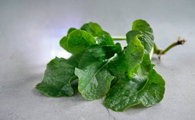 Ev yapımı sebze, Kanton Kalesi veya Çin Kalesi veya Choy Sum, Choi sum, yeşil yaprak bitkisi, organik sebze konsepti, sade arka planda taze çiğ yemek.