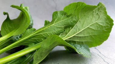 Ev yapımı sebze, Kanton Kalesi veya Çin Kalesi veya Choy Sum, Choi sum, yeşil yaprak bitkisi, organik sebze konsepti, sade arka planda taze çiğ yemek.