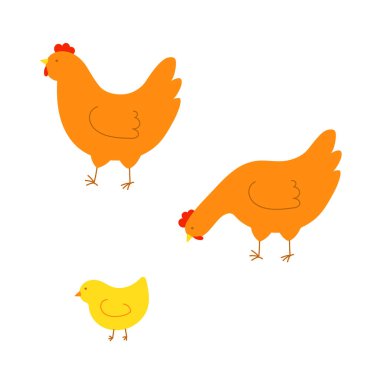 Hens and chickens set. Set of birds for Easter, decor, invitation, cards. Isolated vector illustration