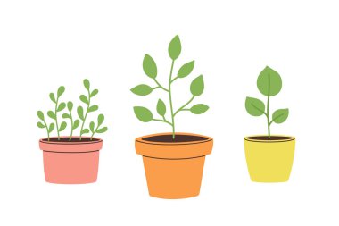 Çiçek saksılarında el yapımı bitkiler. Kartlar, posterler, kartpostallar, baskılar ve çıkartmalar için şablon. İzole vektör illüstrasyonu