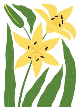 Minimalist tarzda soyut çiçek posteri. El yapımı zambak çiçekleri ve yapraklarıyla modern botanik baskısı. İzole vektör illüstrasyonu