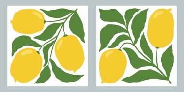 Minimalist tarzda kare meyve posterleri. Elle çizilmiş limon ve yapraklarla modern botanik baskısı. - Evet. Vektör illüstrasyonu