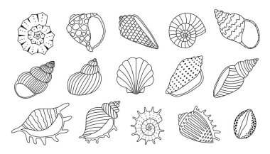 El çizimi deniz kabukları. Düzenlenebilir felç. Yazdırma, çıkartma, tebrik kartı ve davetiye için tasarım ögeleri. İzole vektör illüstrasyonu
