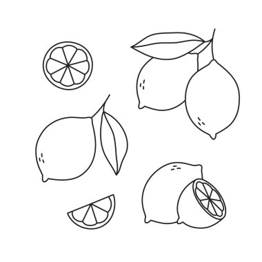 Tüm limonları, dilimleri ve yaprakları özetle. Düzenlenebilir felç. Baskı, davetiye ve poster için tasarım öğeleri. İzole vektör illüstrasyonu