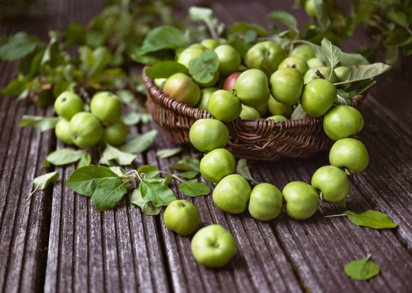 Kézzel Készített Nyári Almás Koszorú Fiatal Zöld Almákból Rusztikus Garteni — Stock Fotó